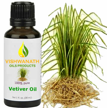 Vetiver Oil, Vetiver Essential Oil Manufacturers in India