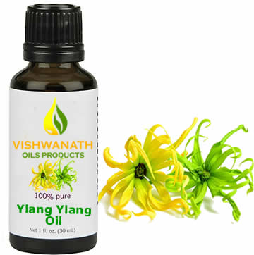 Ylang Ylang Oil